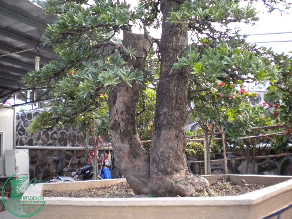DSCN8647.JPG