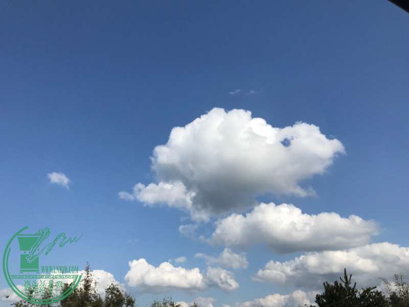 IMG_1599.JPG