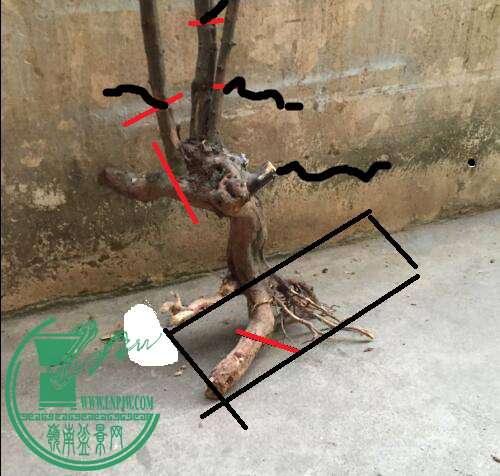 205720cpkbqvebbkys4ppp.jpg.thumb (1).jpg