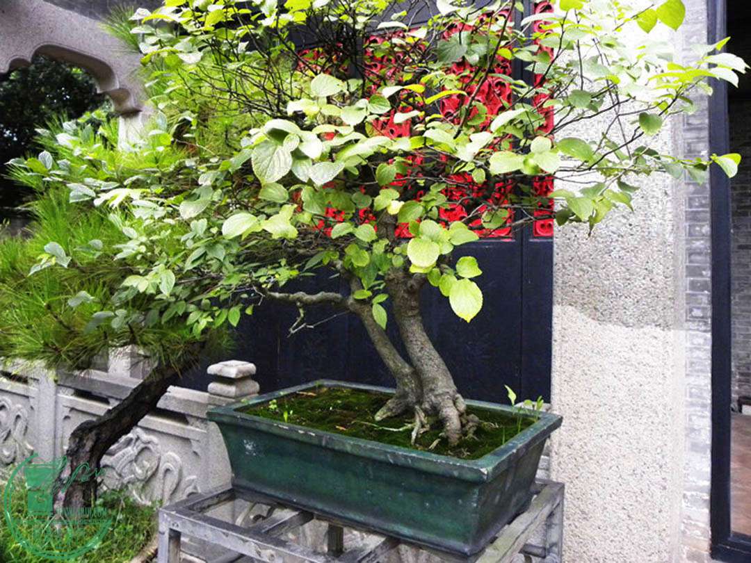 DSCN8789.jpg