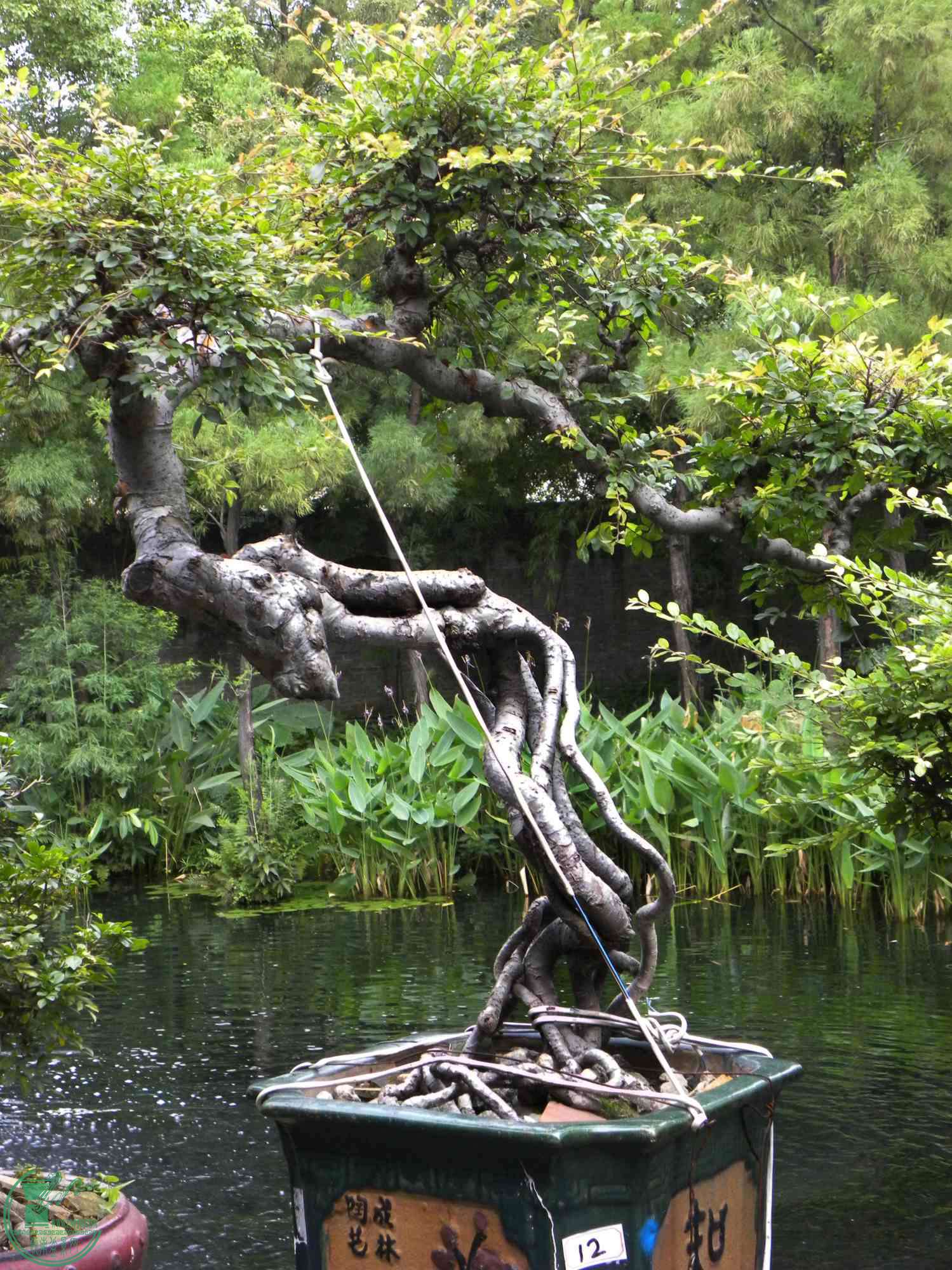 DSCN8821.JPG