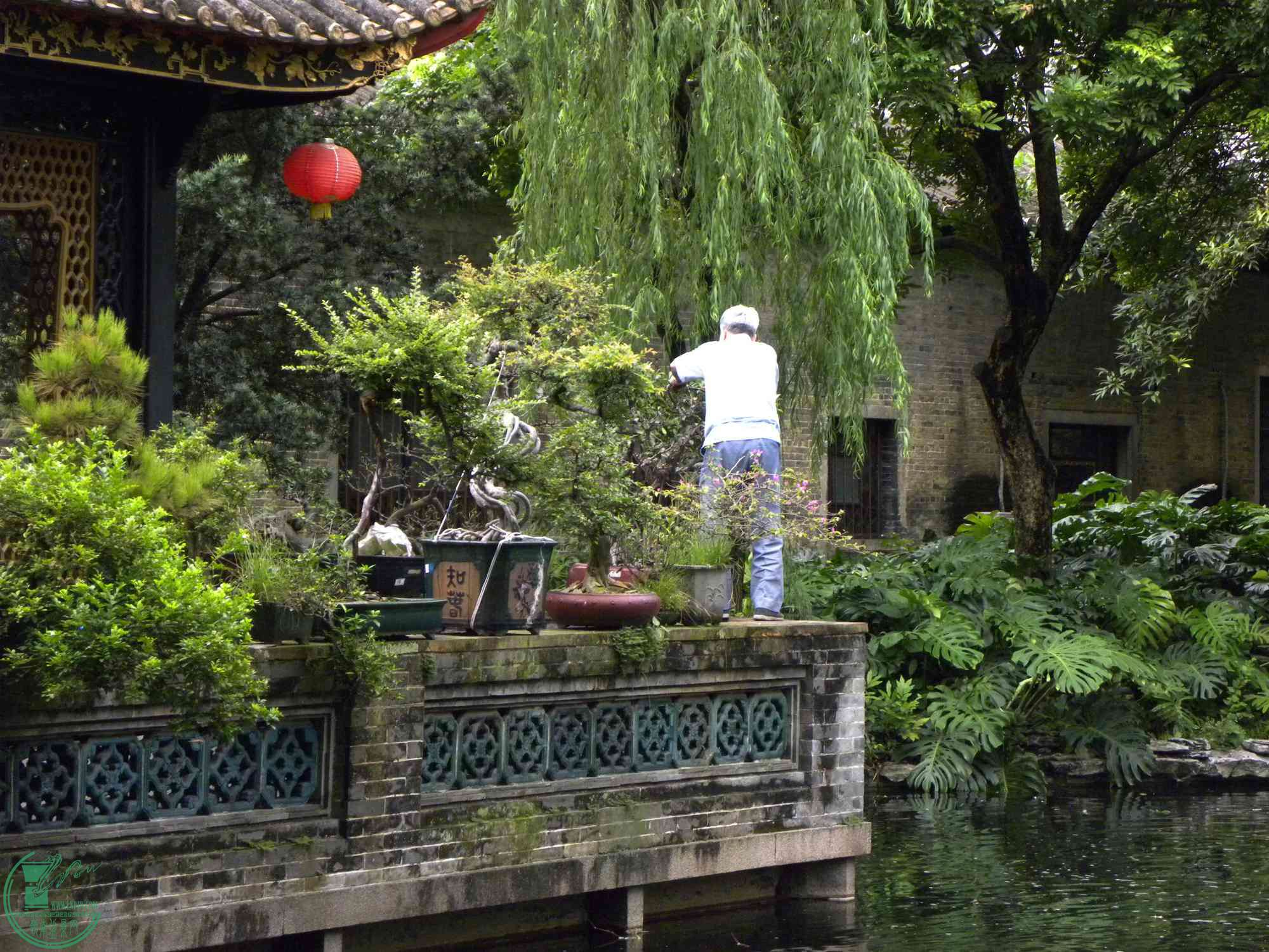 DSCN8815.JPG