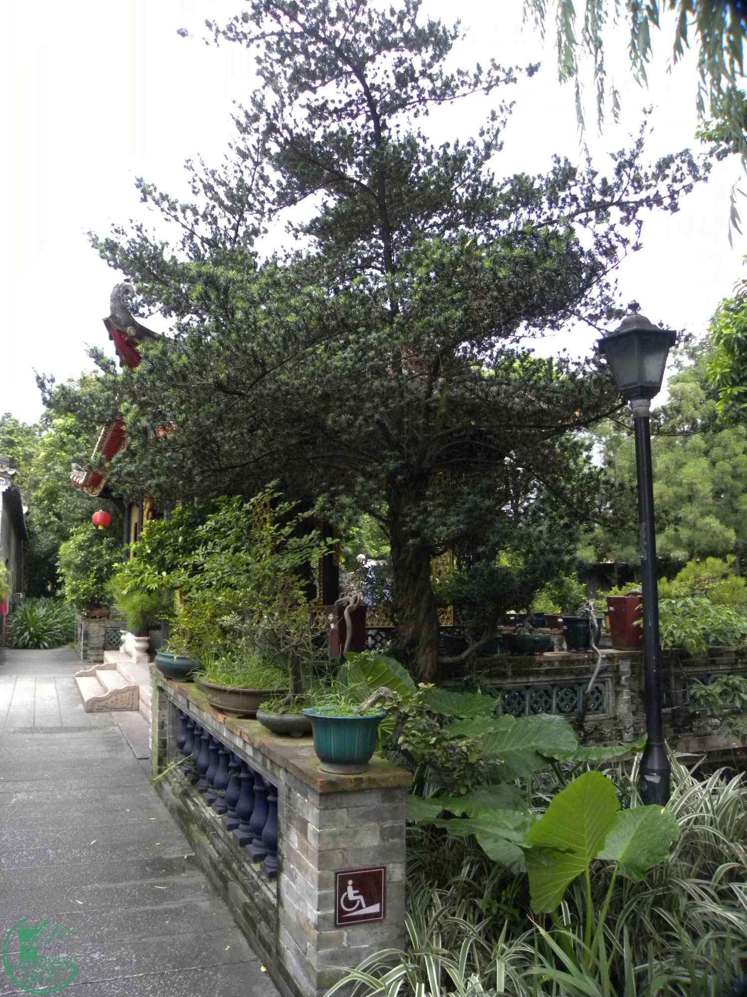 DSCN8818.JPG