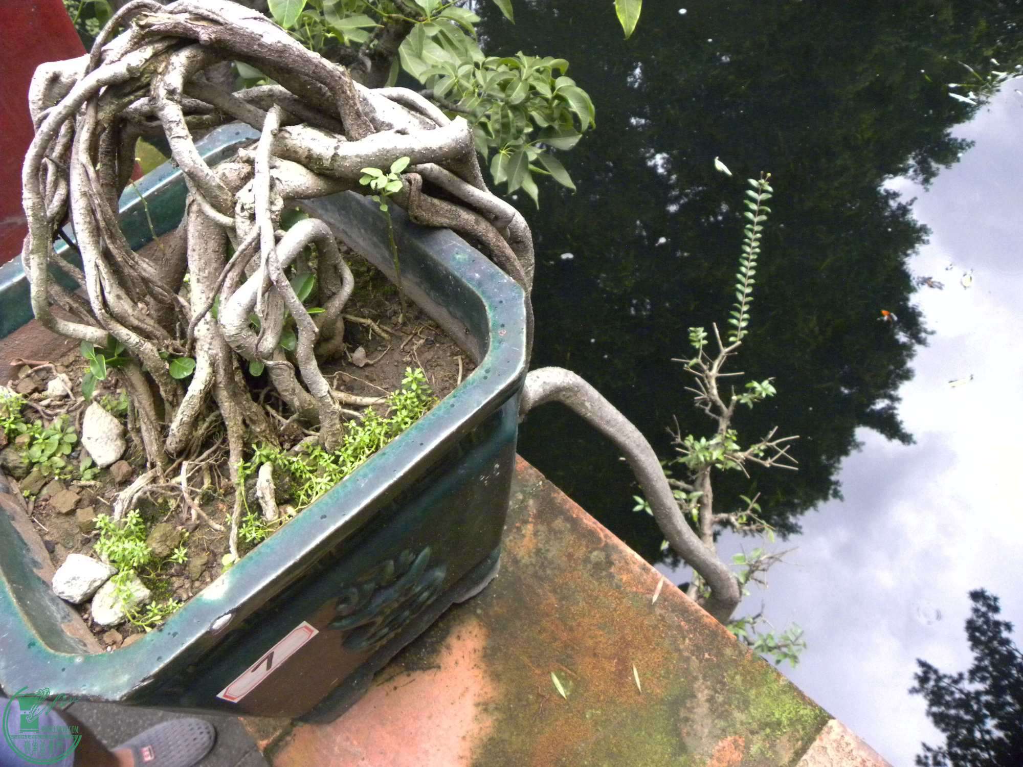 DSCN8829.JPG