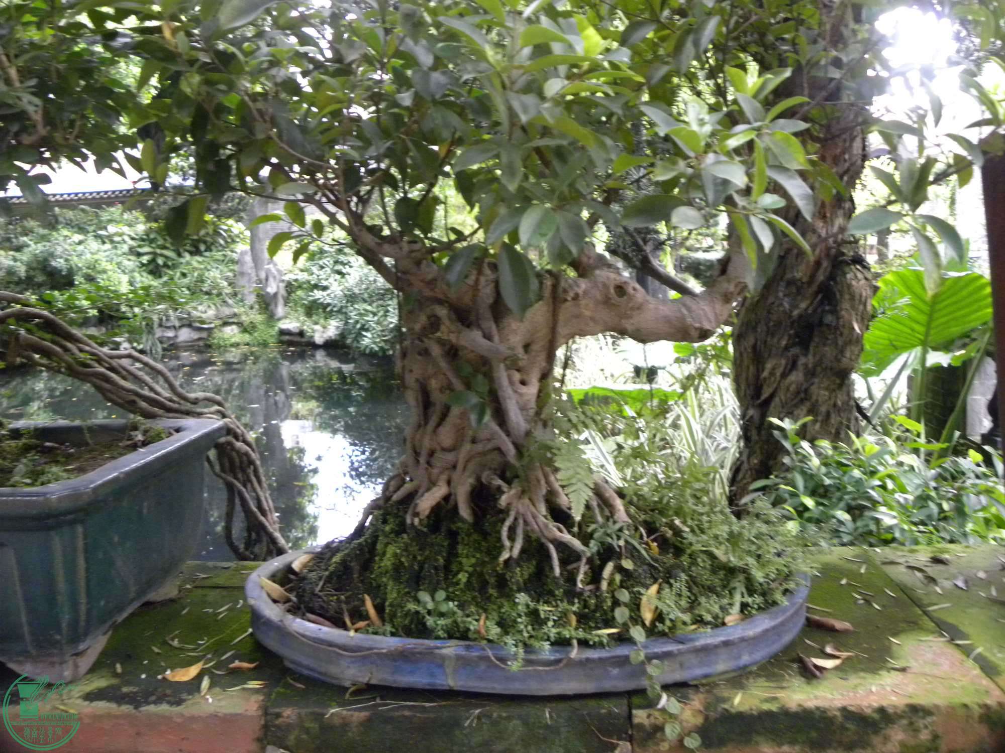 DSCN8831.JPG