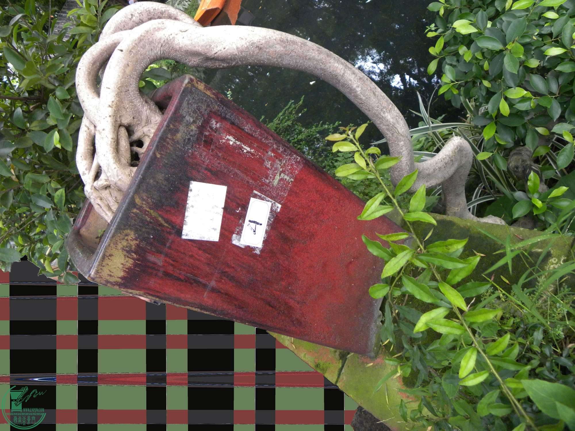 DSCN8834.jpg