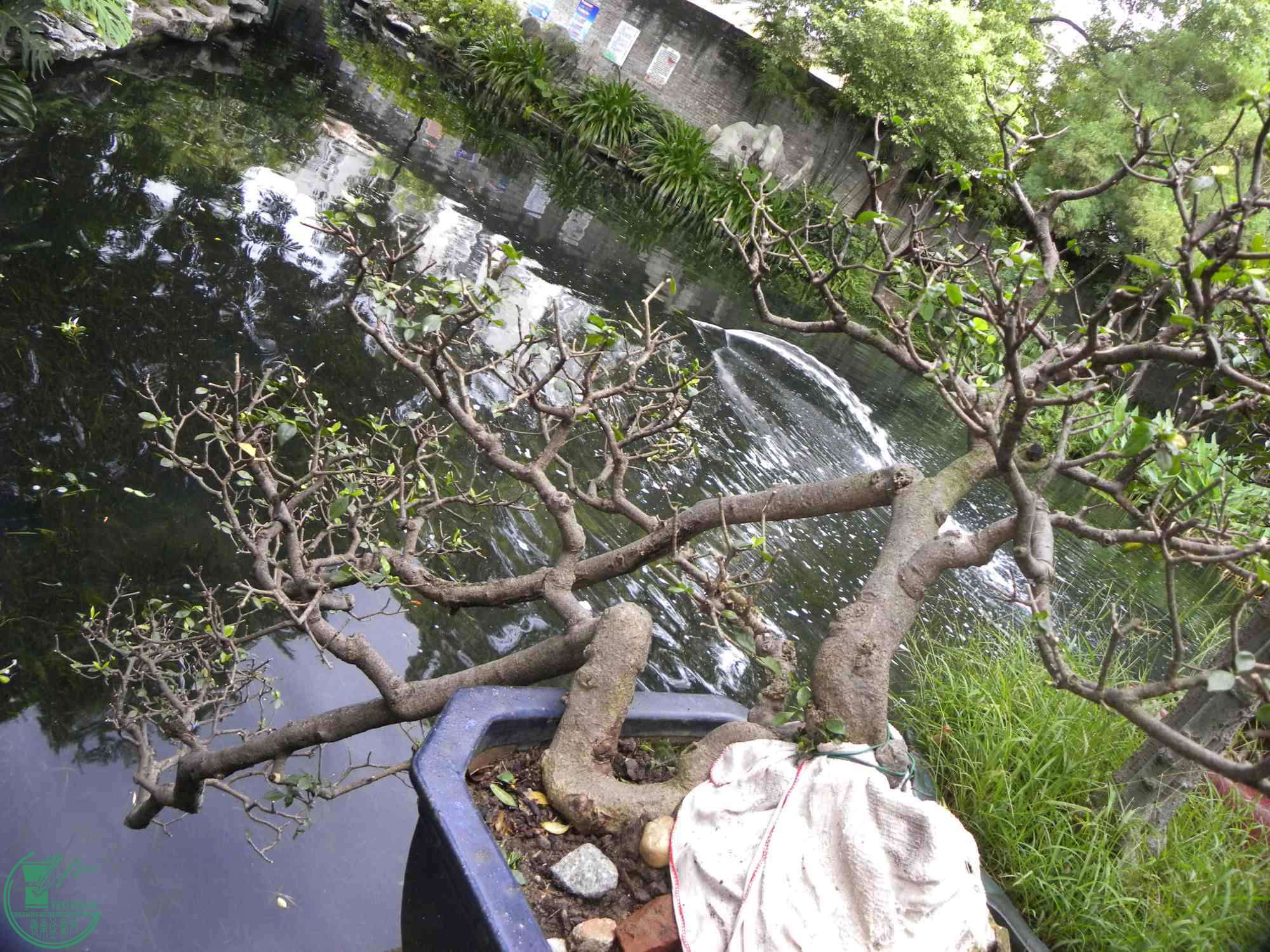 DSCN8837.JPG
