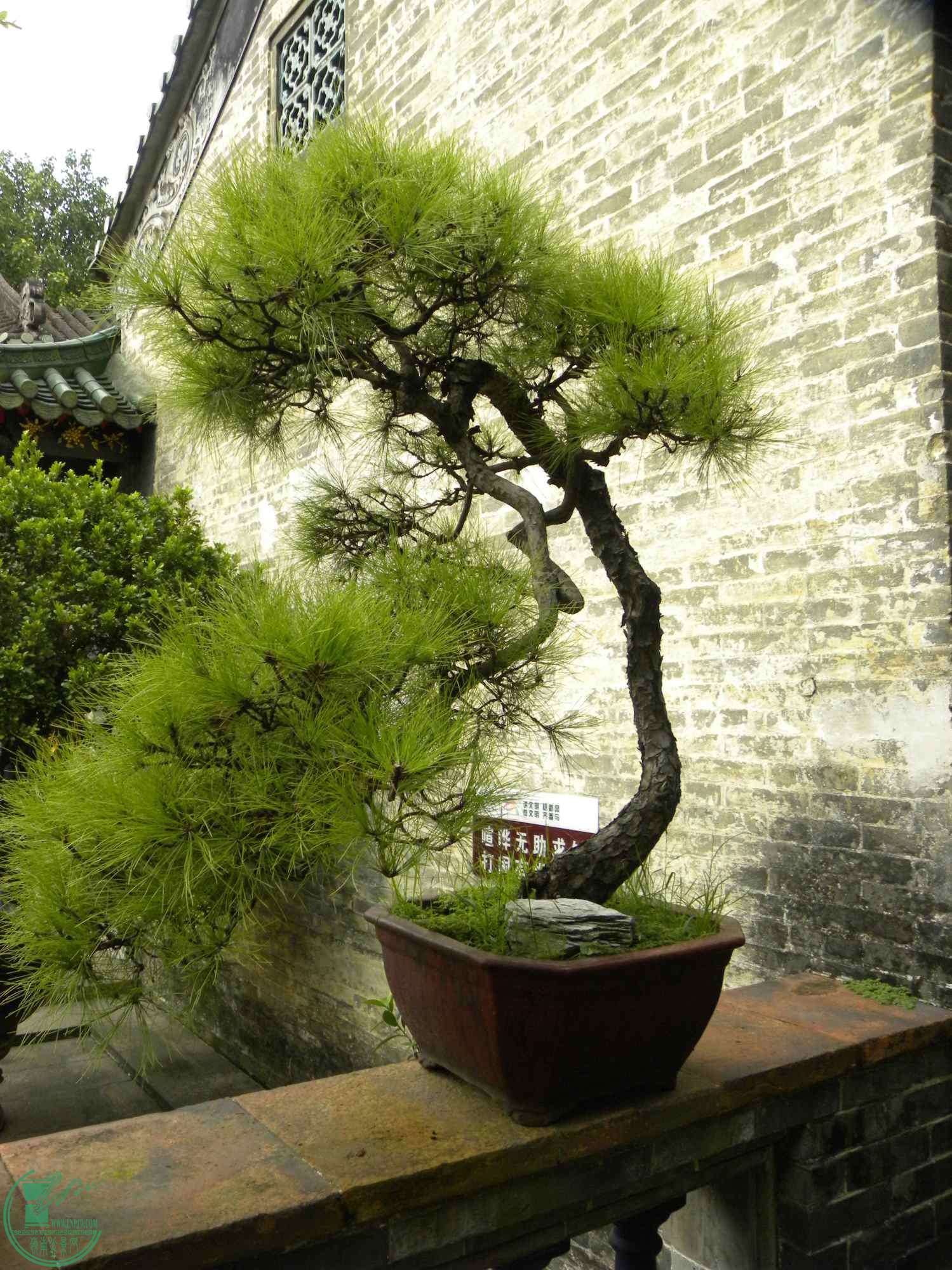 DSCN8840.JPG