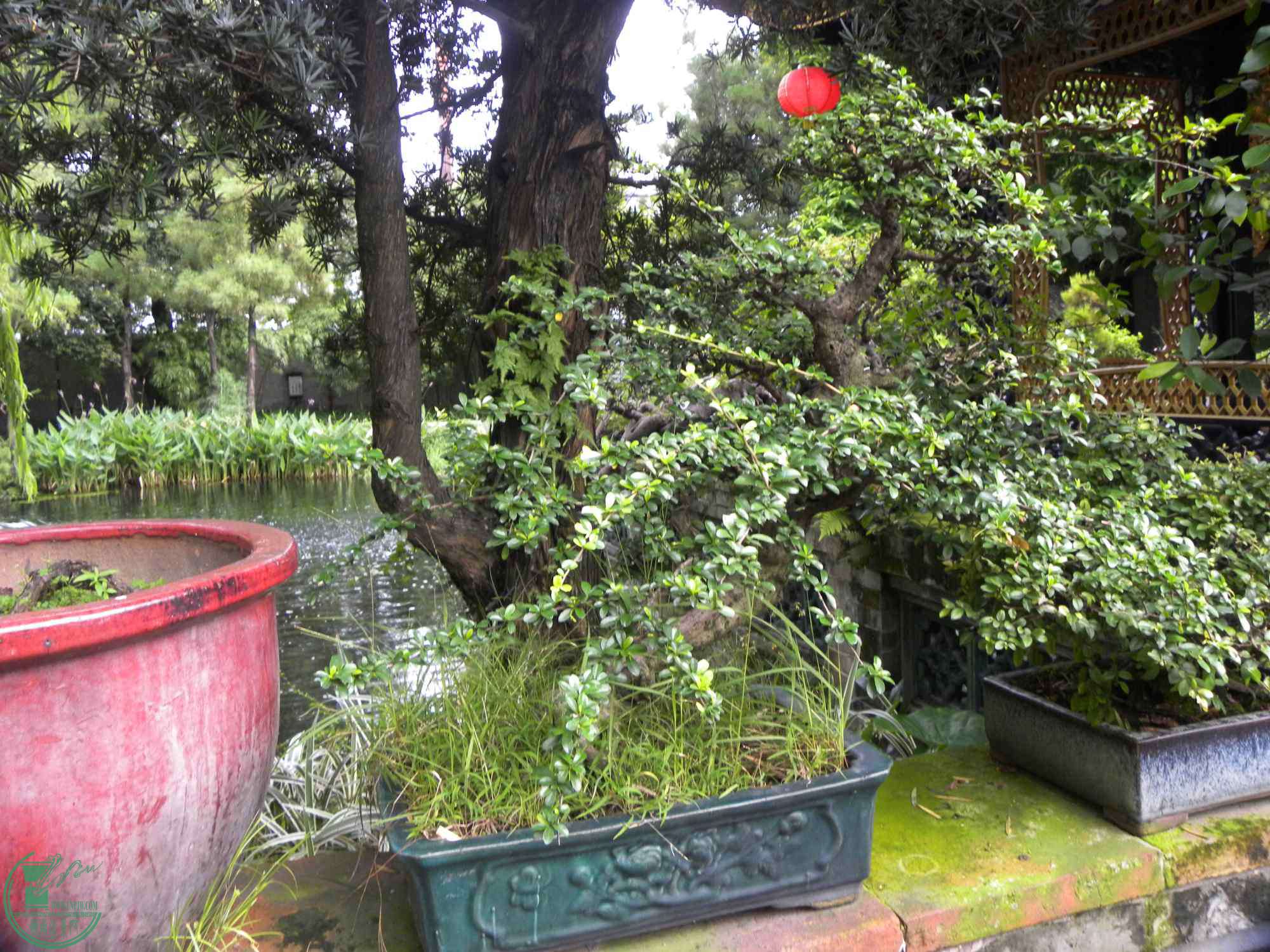 DSCN8841.JPG