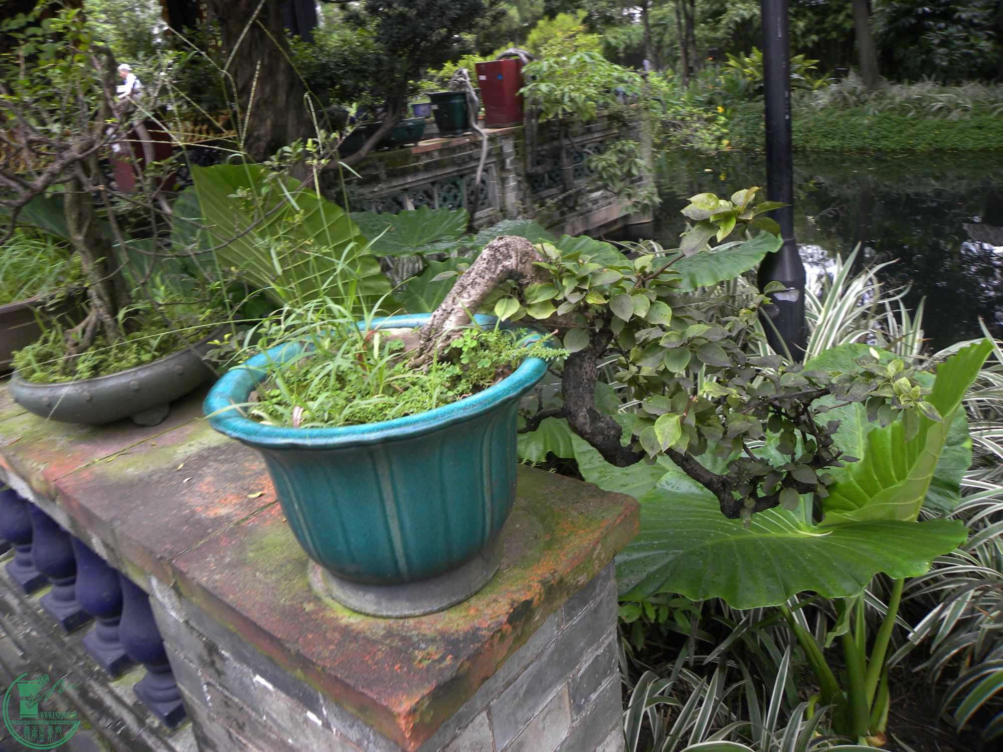 DSCN8819_.jpg