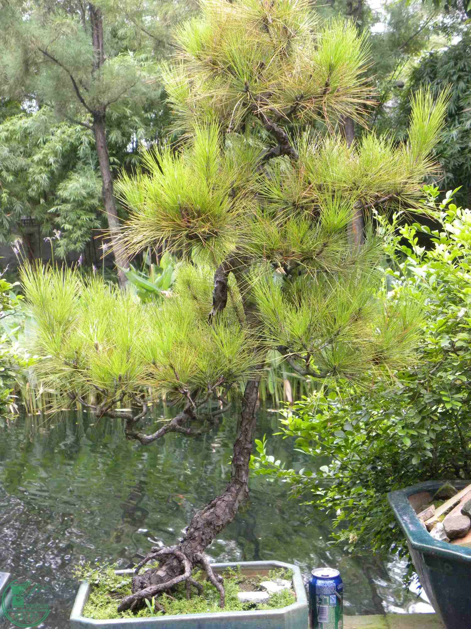 DSCN8823.JPG