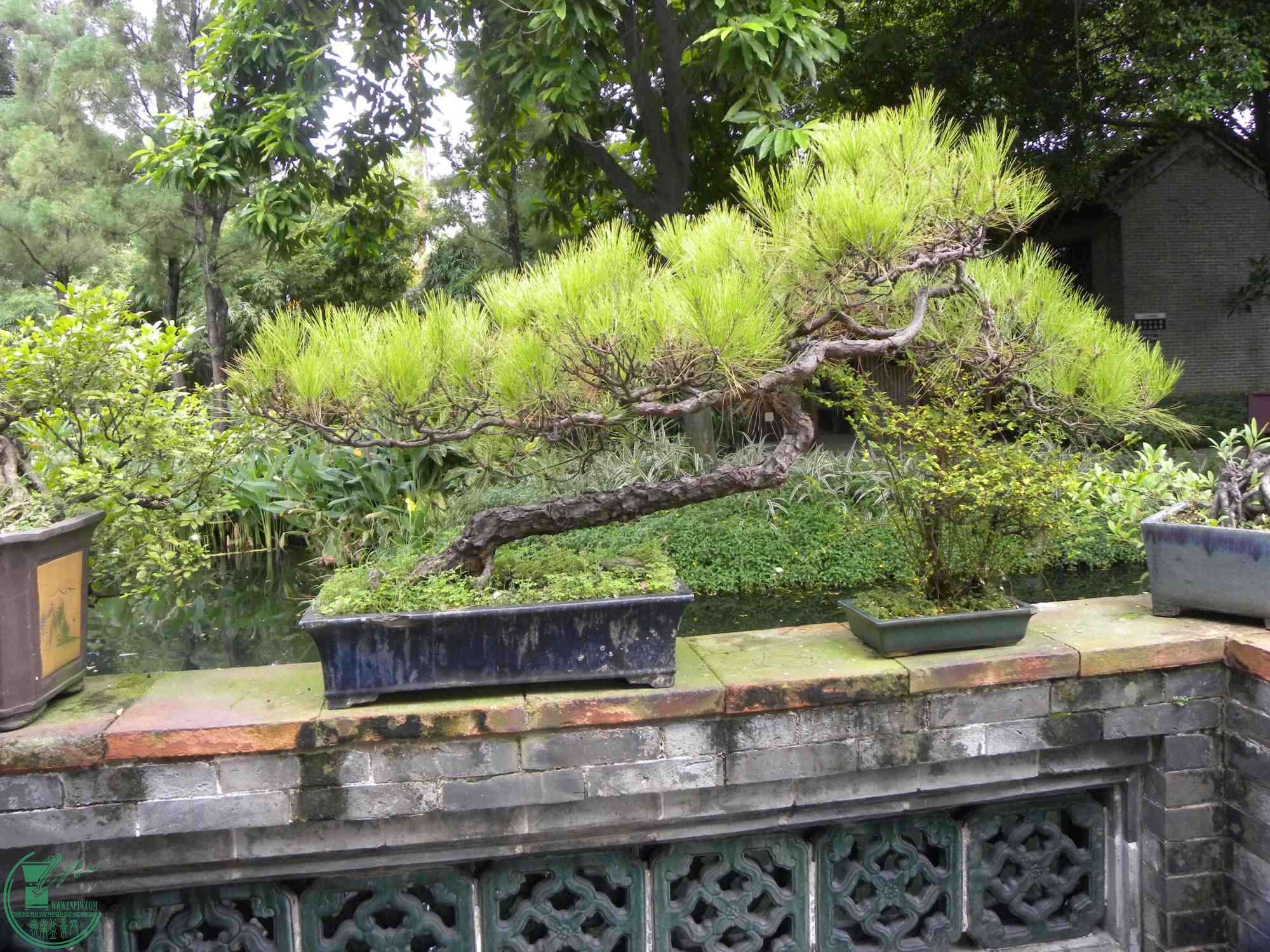 DSCN8824.JPG