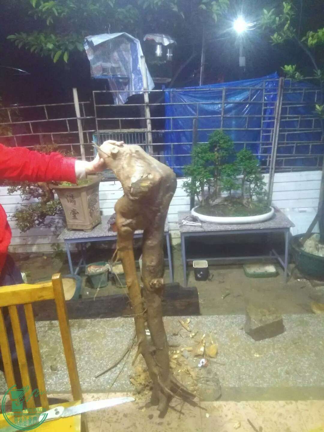 1489245004305.jpeg