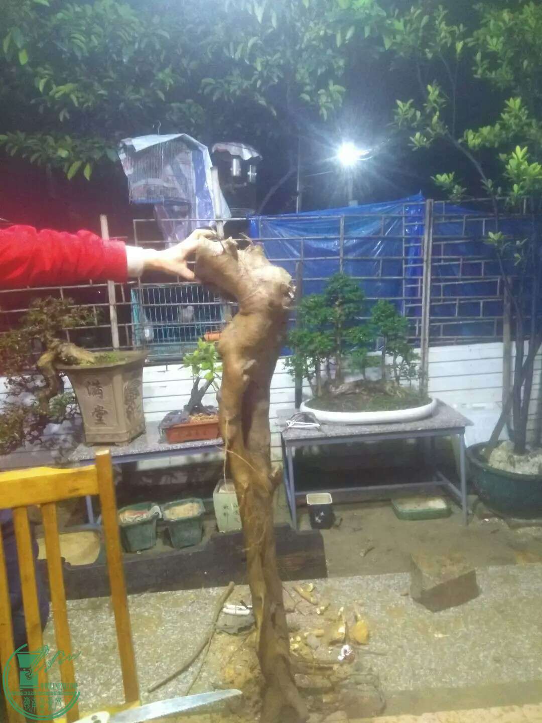 1489244998453.jpeg