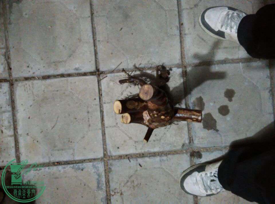 QQͼƬ20170312231510.jpg