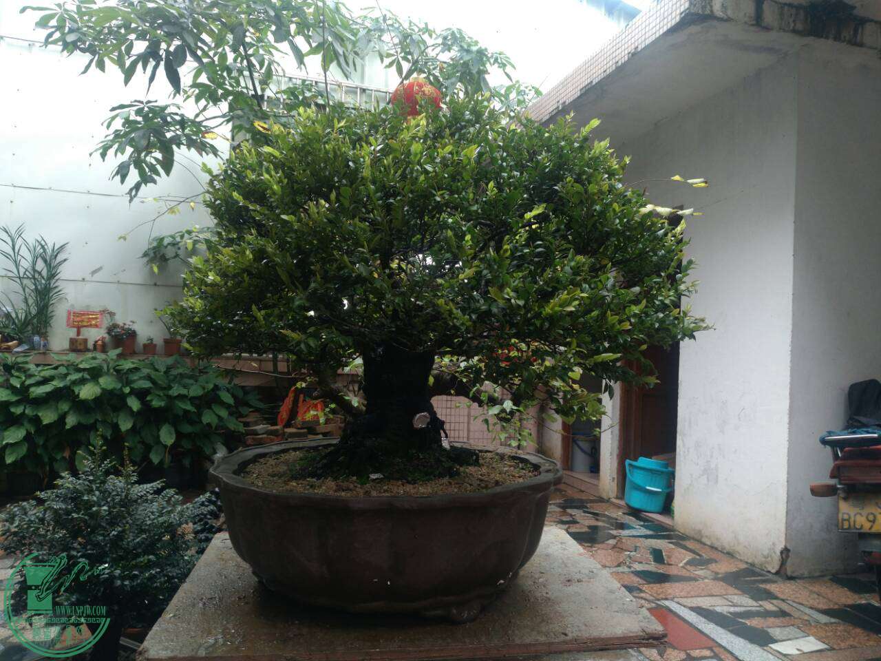 mmexport1489910163554.jpg