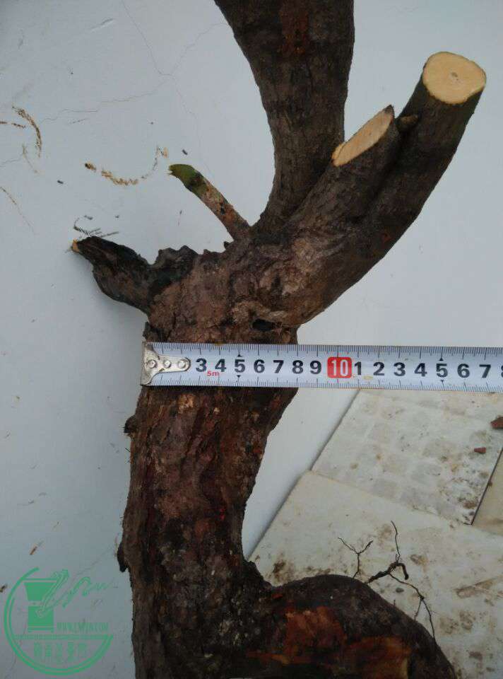 QQͼƬ20170322213503.jpg