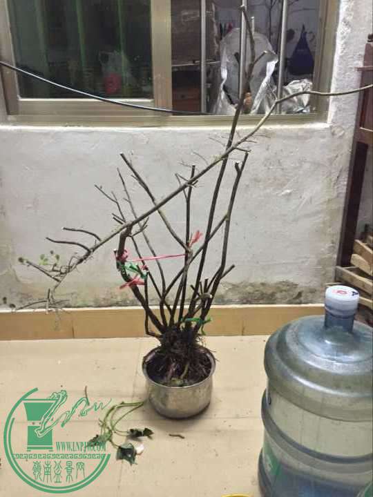 QQͼƬ20170326025224.jpg
