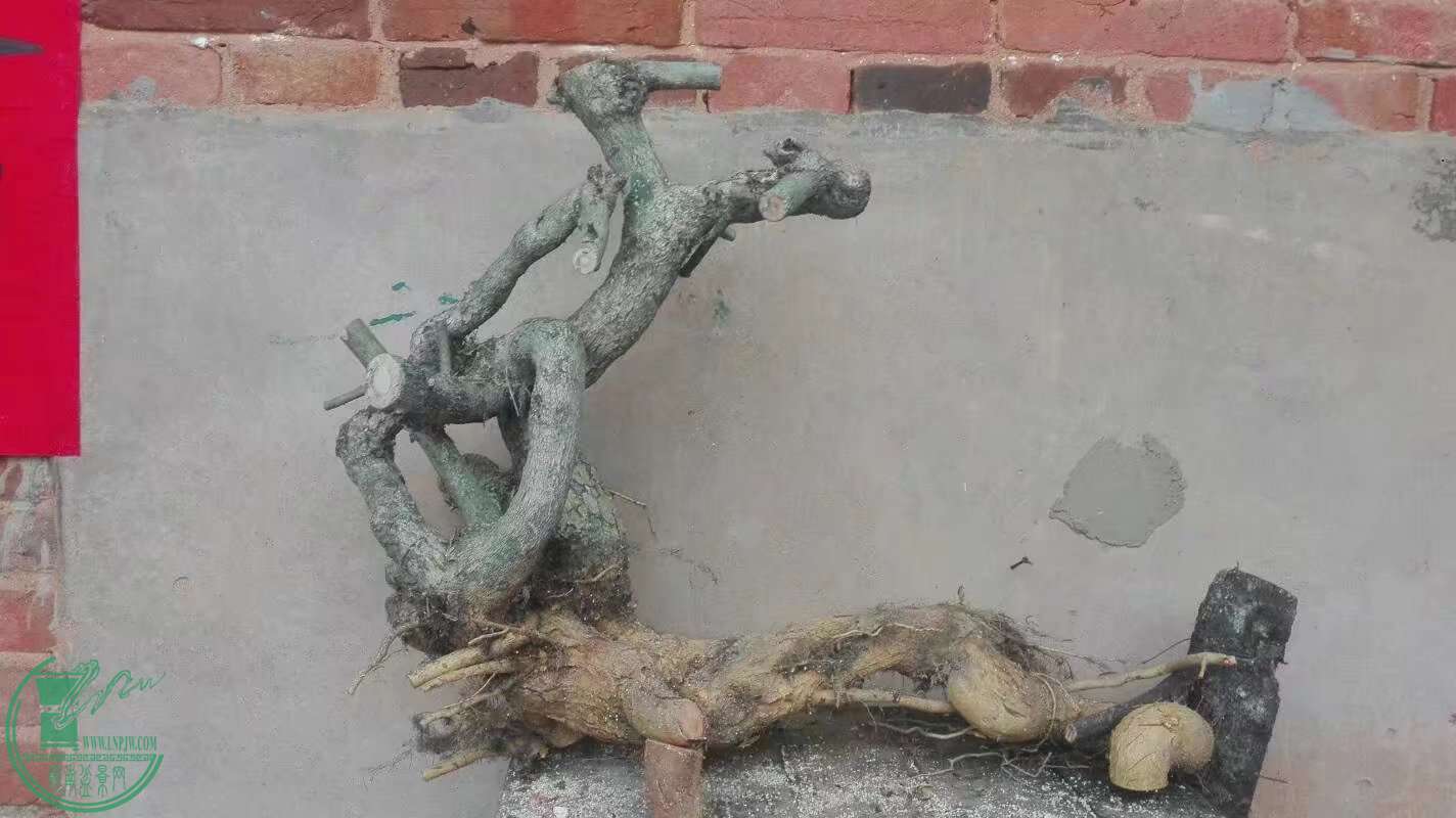 廨1..jpg