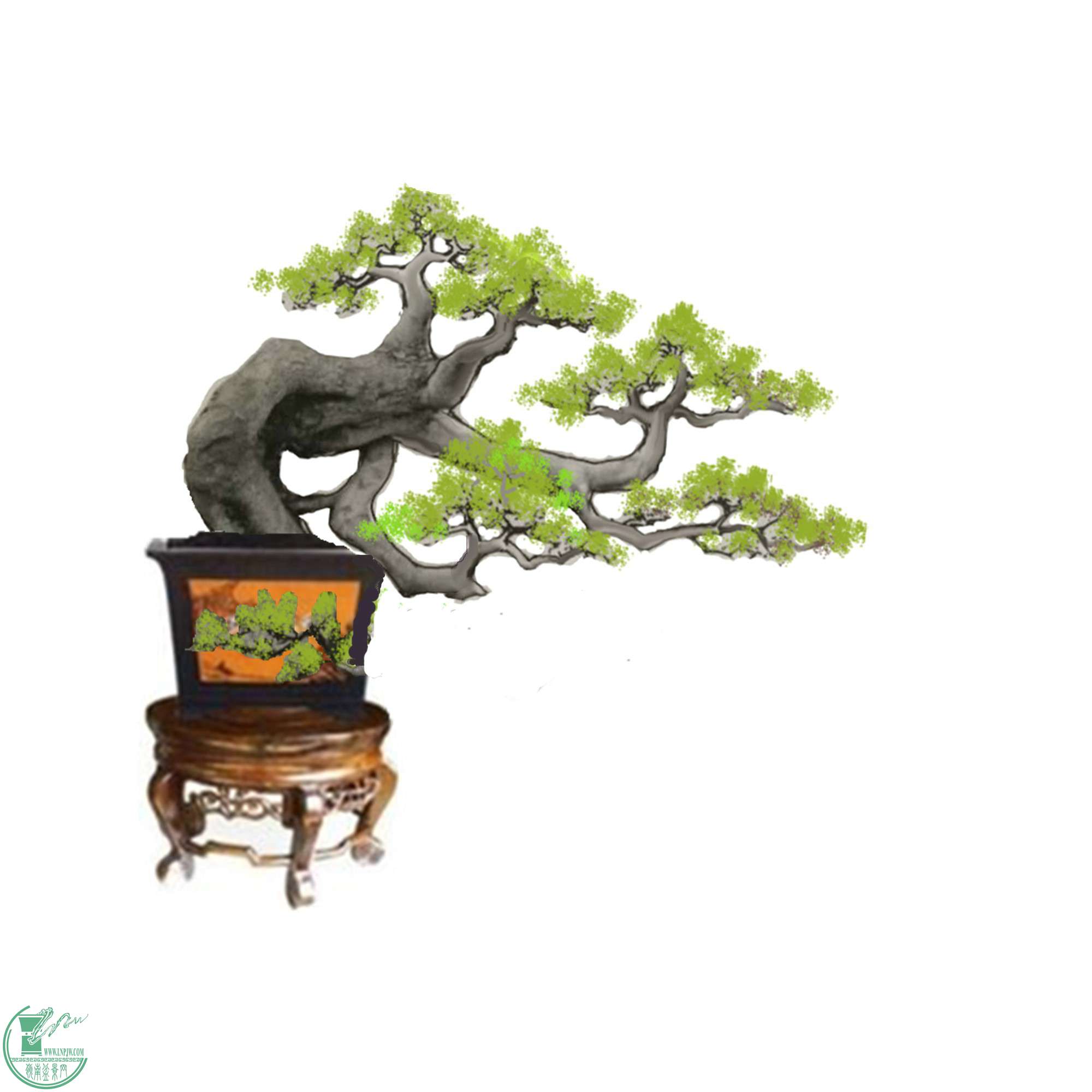 jiaolong76742_.jpg