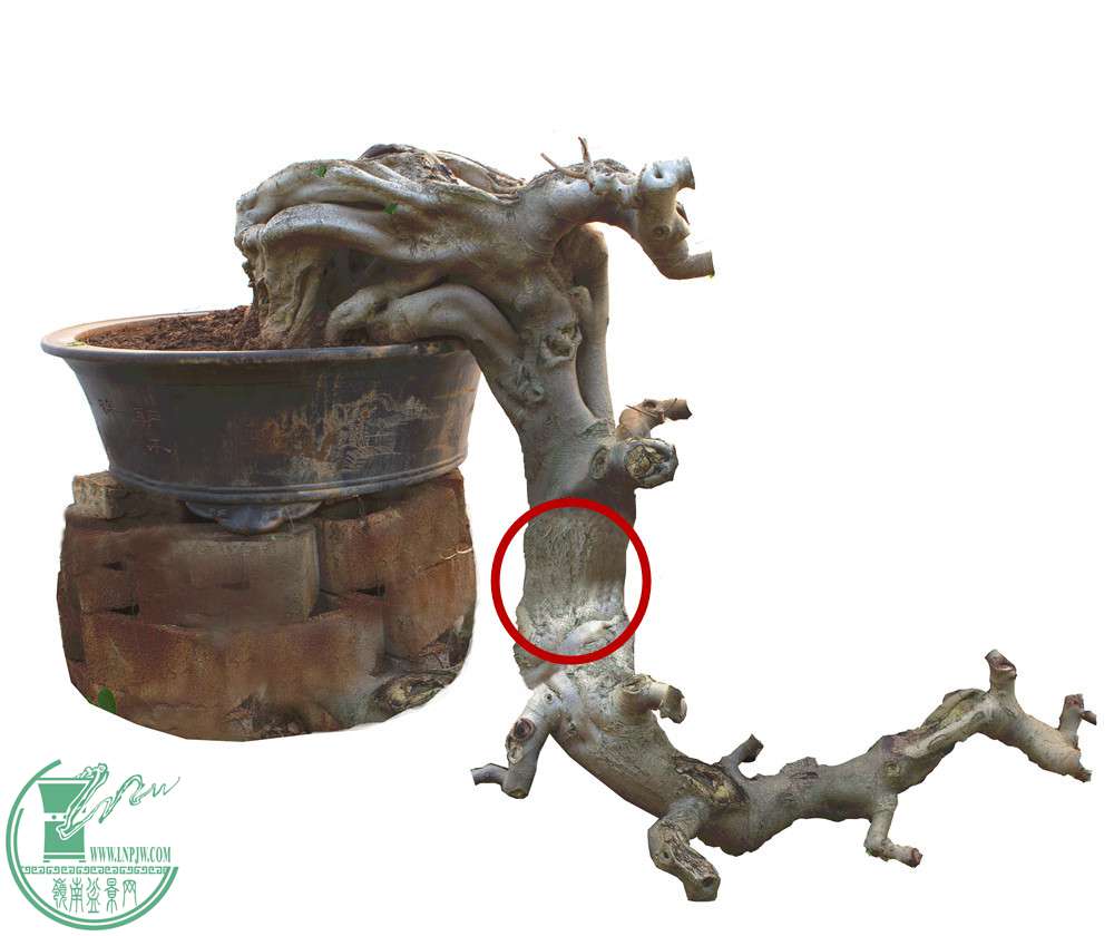ͼ5.jpg