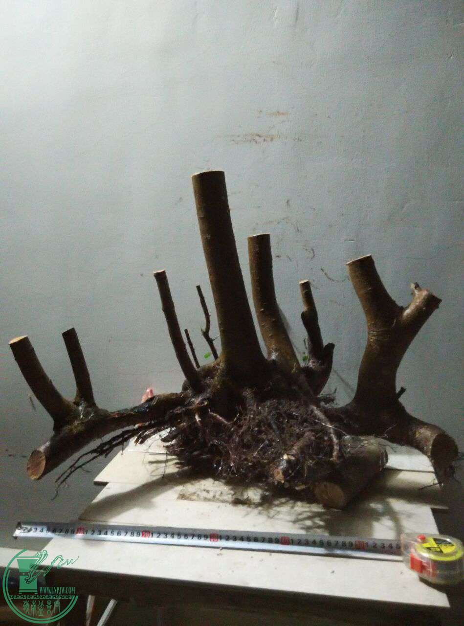 QQͼƬ20170330193621.jpg