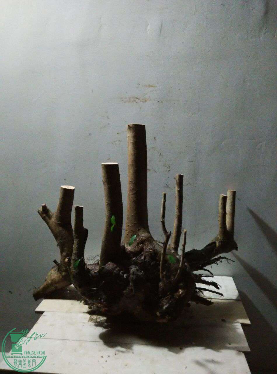 QQͼƬ20170330193717.jpg