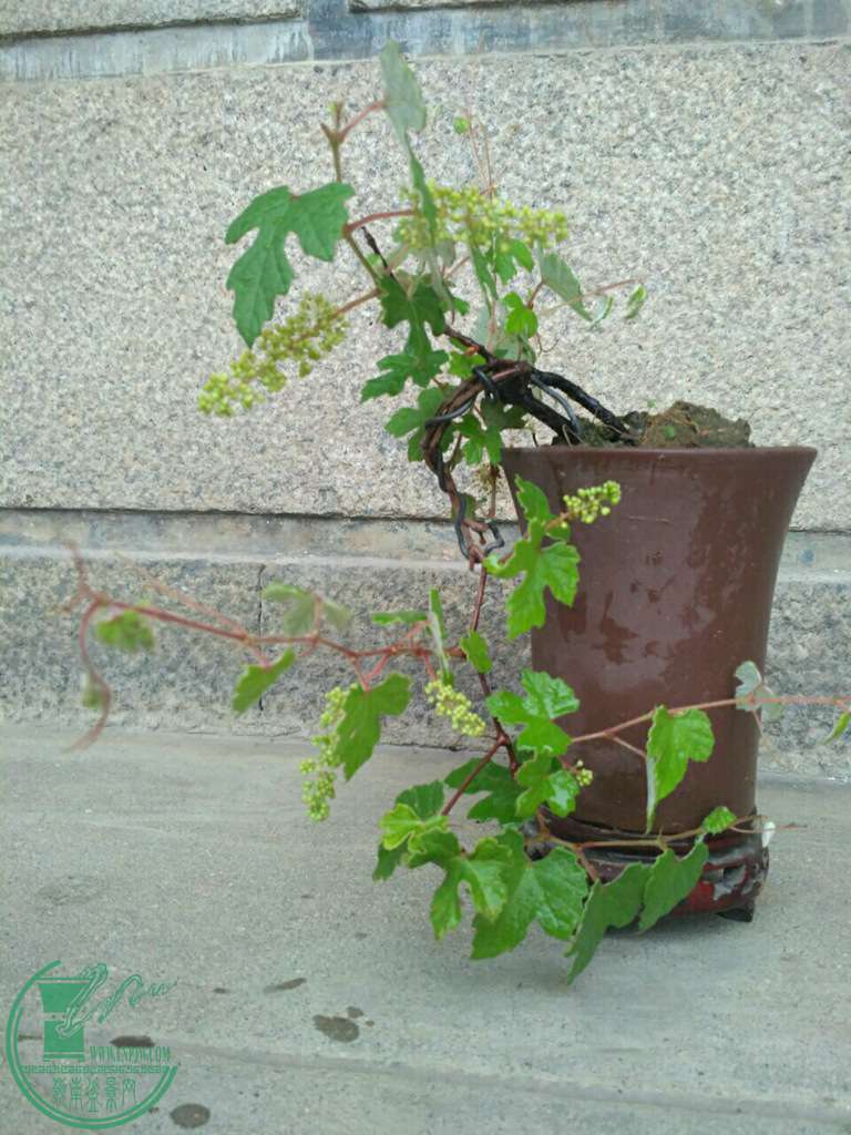С14.jpg
