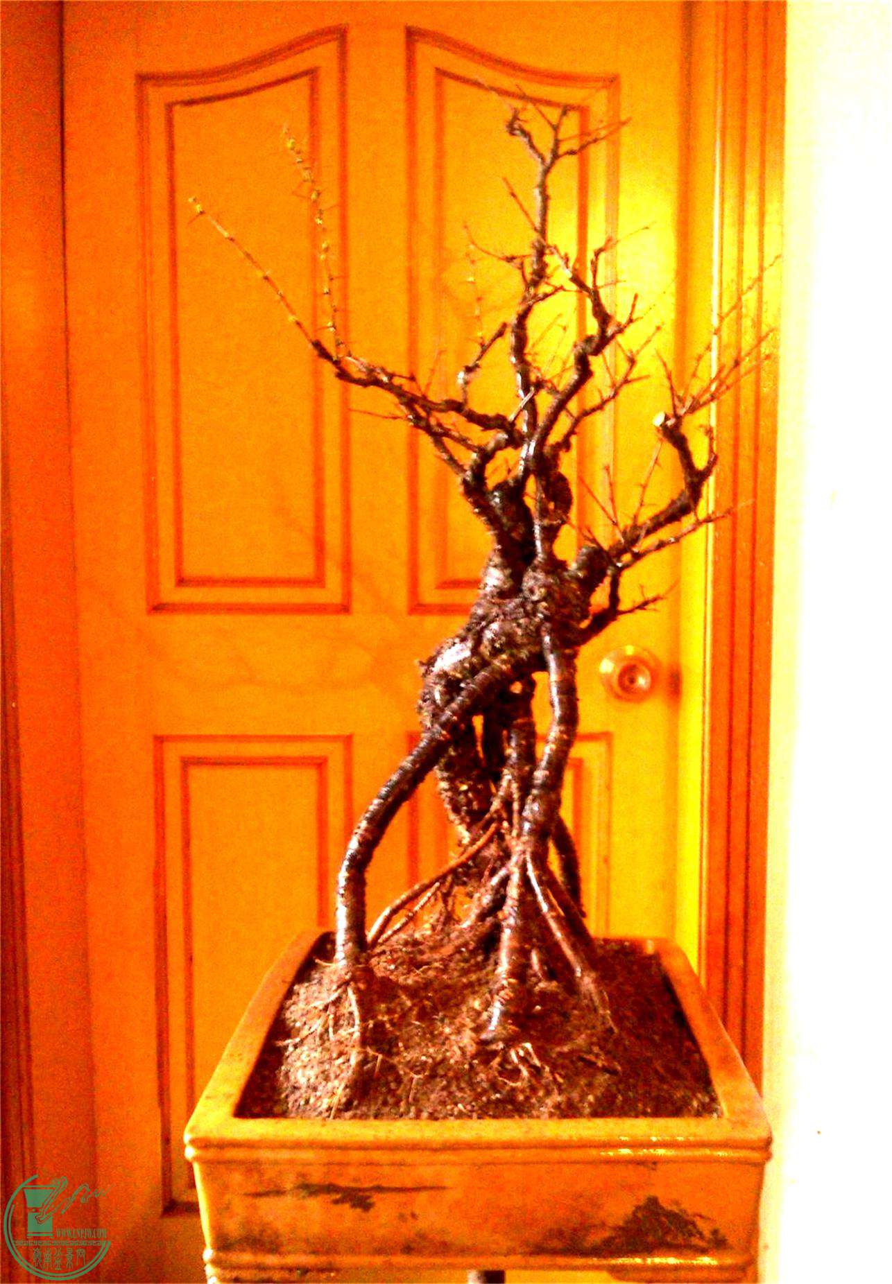 ȸ22IMG_20150306_145000_2345ͼ_ͼ.jpg