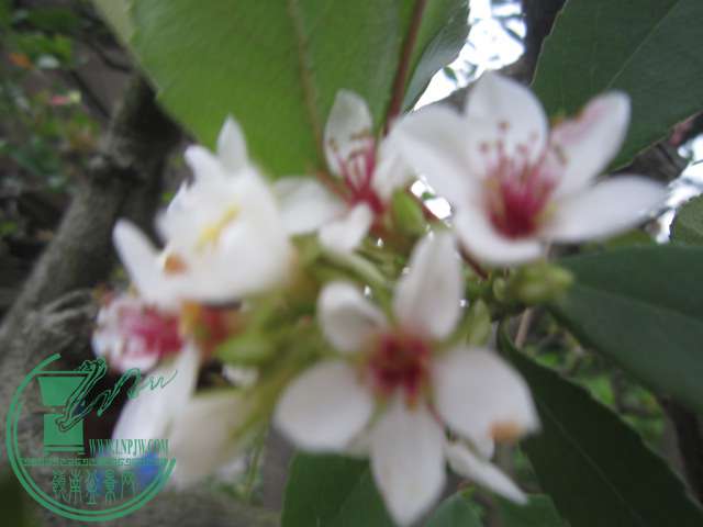 IMG_5503.JPG