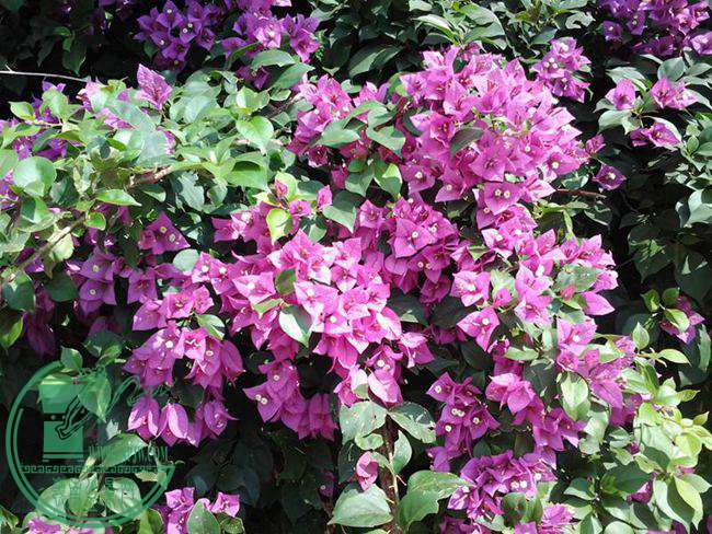 ����÷��2014-11-25 12.09.08��.jpg