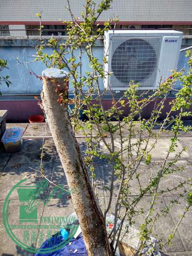 IMG_20170402_091457_HDR.jpg