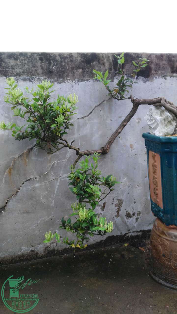 ΢ͼƬ_20170412100229.jpg