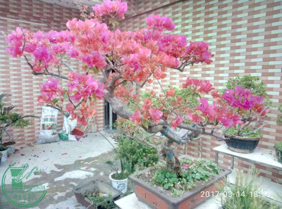 QQͼƬ20170414110811.jpg