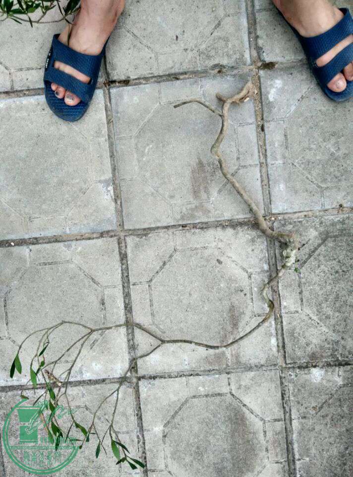 QQͼƬ20170416195331.jpg