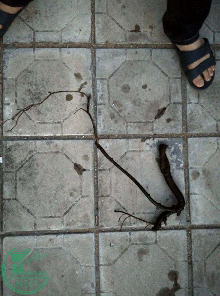 QQͼƬ20170416195437.jpg