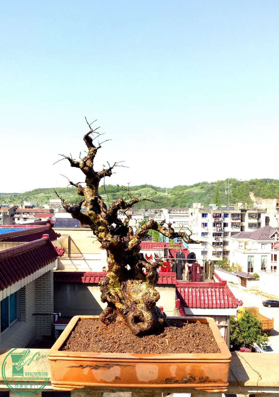IMG20170413145433.jpg