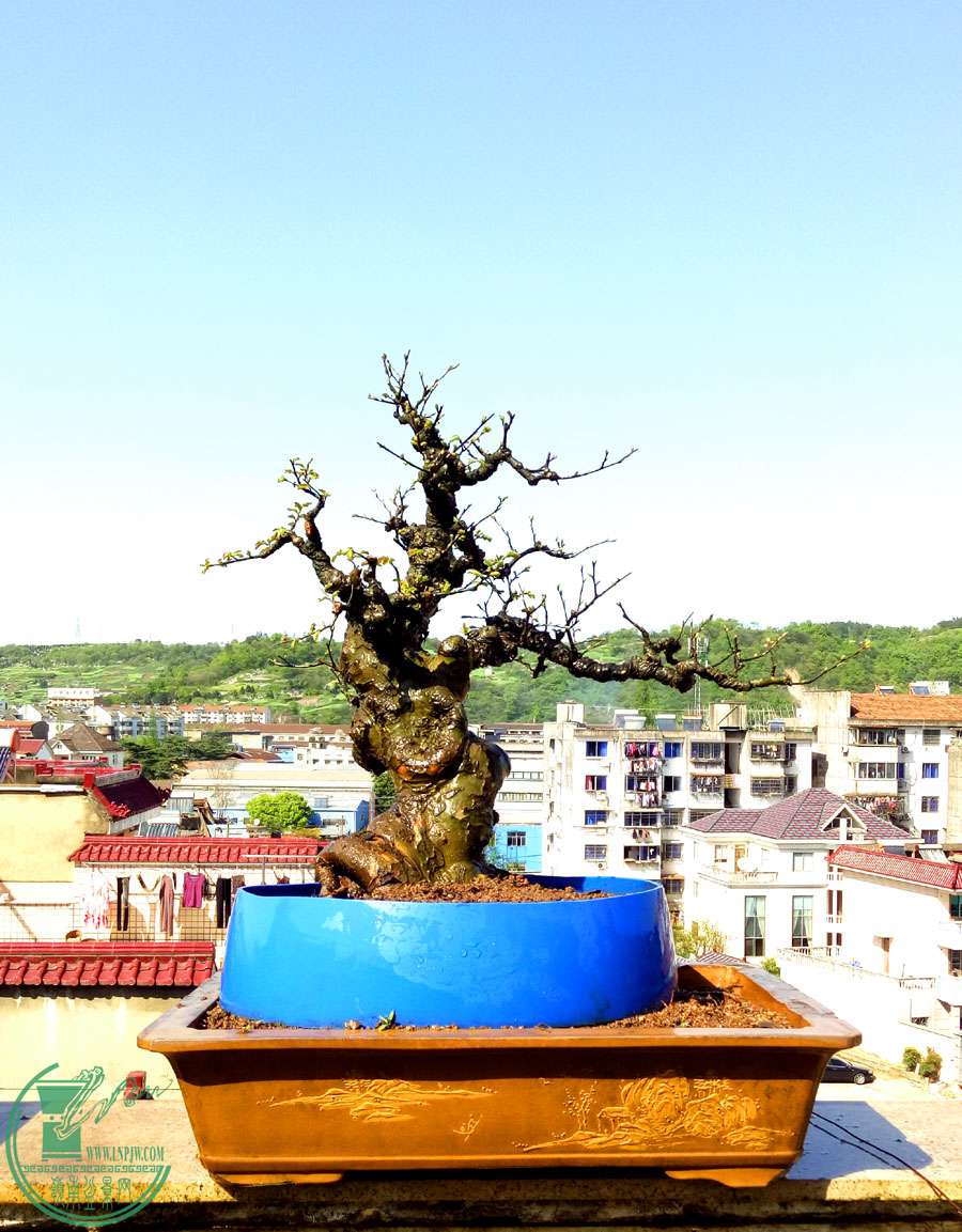 IMG20170413145829.jpg