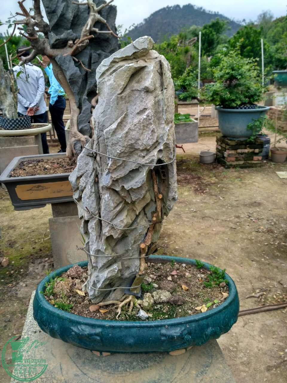 ΢ͼƬ_20170417101559.jpg