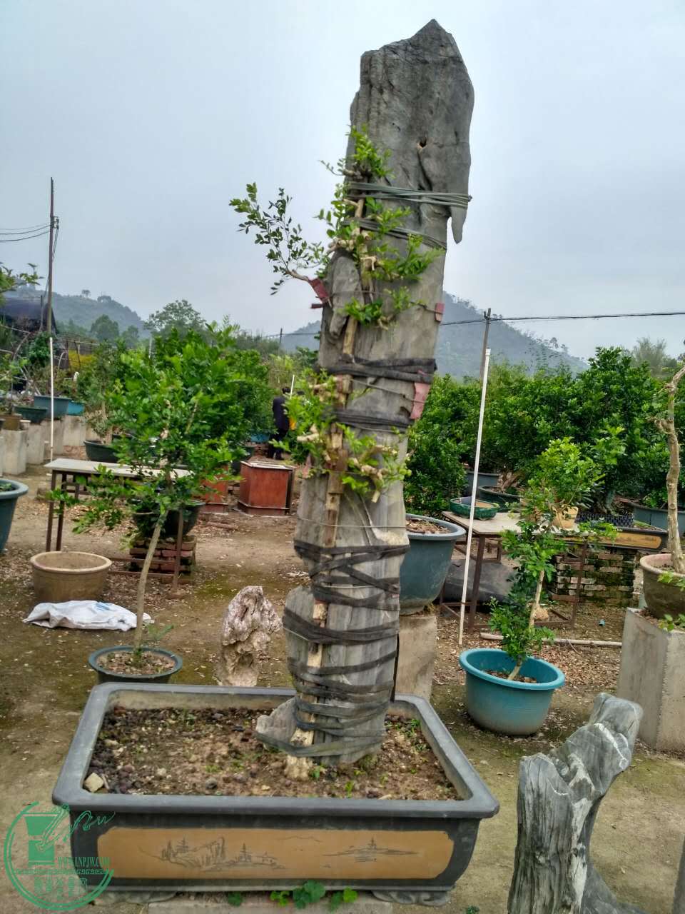 ΢ͼƬ_20170417101524.jpg