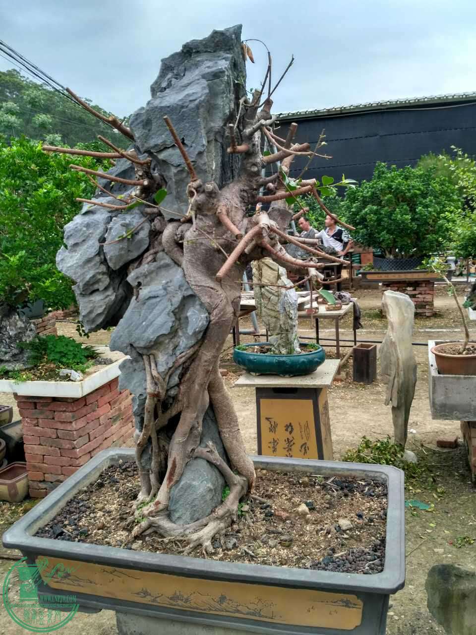 ΢ͼƬ_20170417101543.jpg