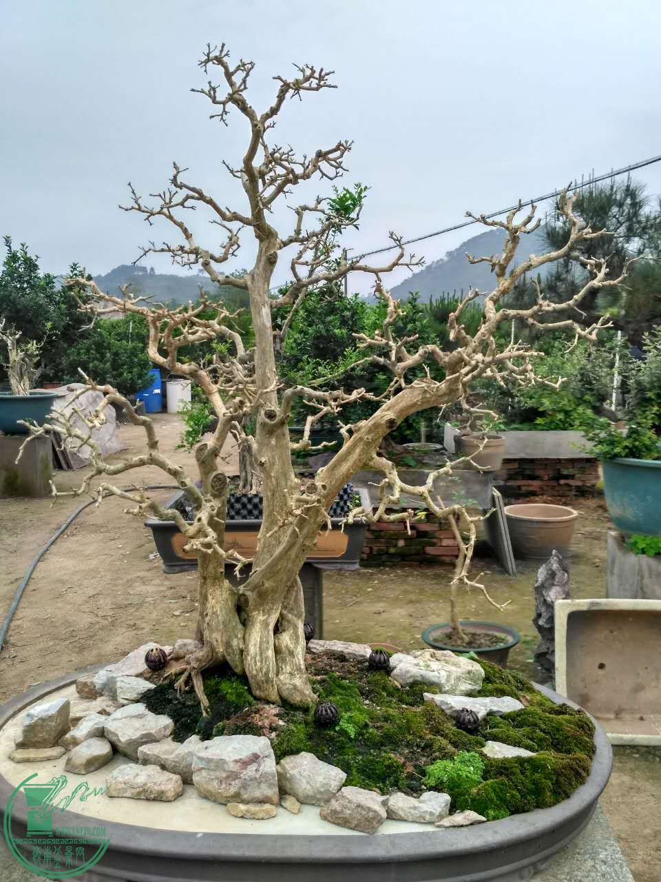 ΢ͼƬ_20170417101423.jpg