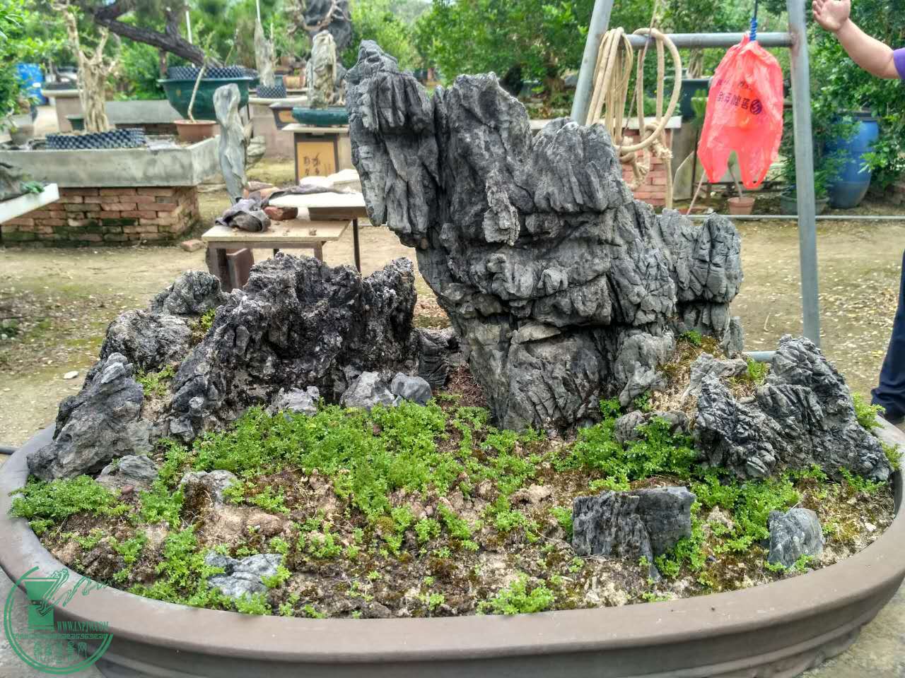 ΢ͼƬ_20170417101104.jpg
