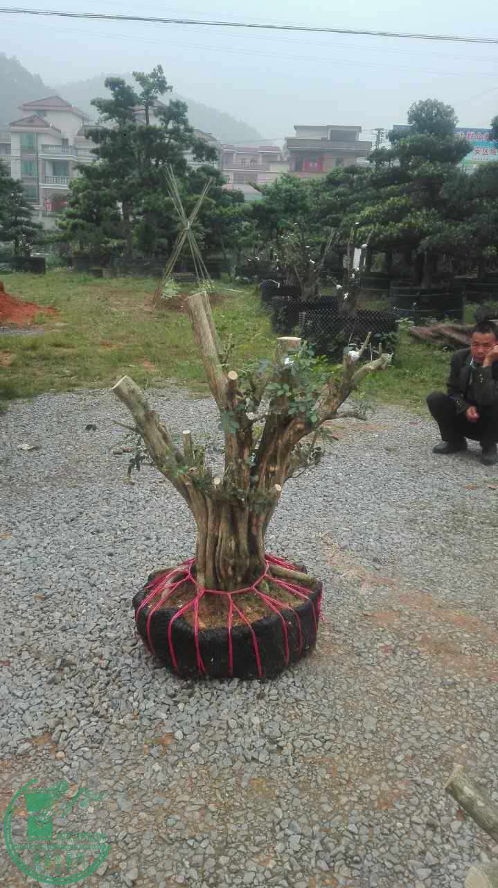 ΢ͼƬ_20170426101356.jpg