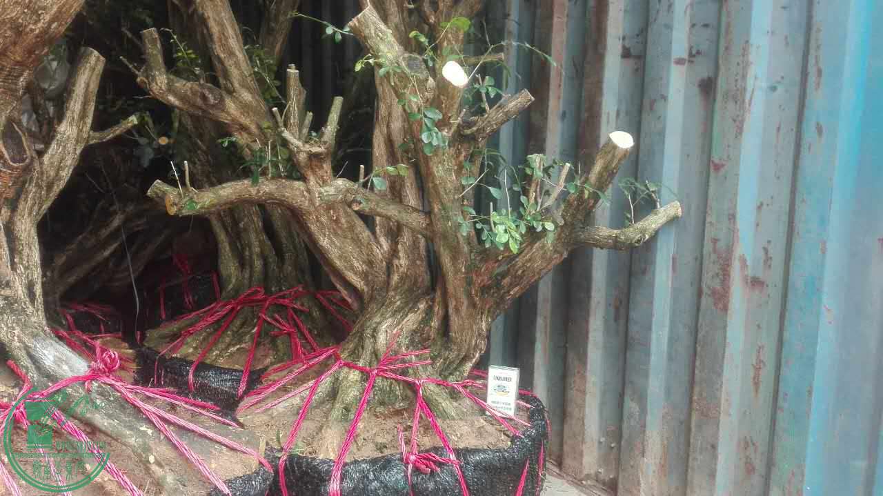 ΢ͼƬ_20170426101359.jpg
