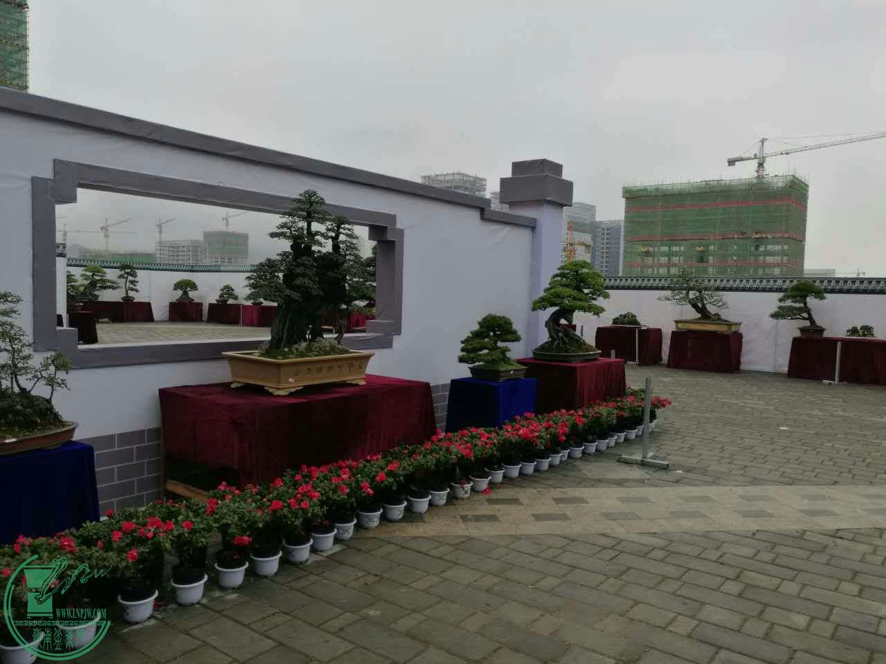 mmexport1493338643327.jpg