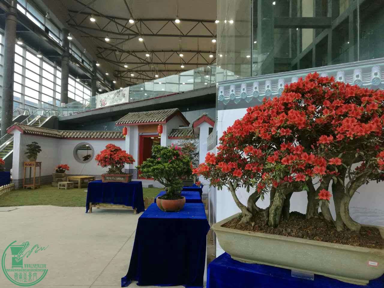 mmexport1493338653927.jpg