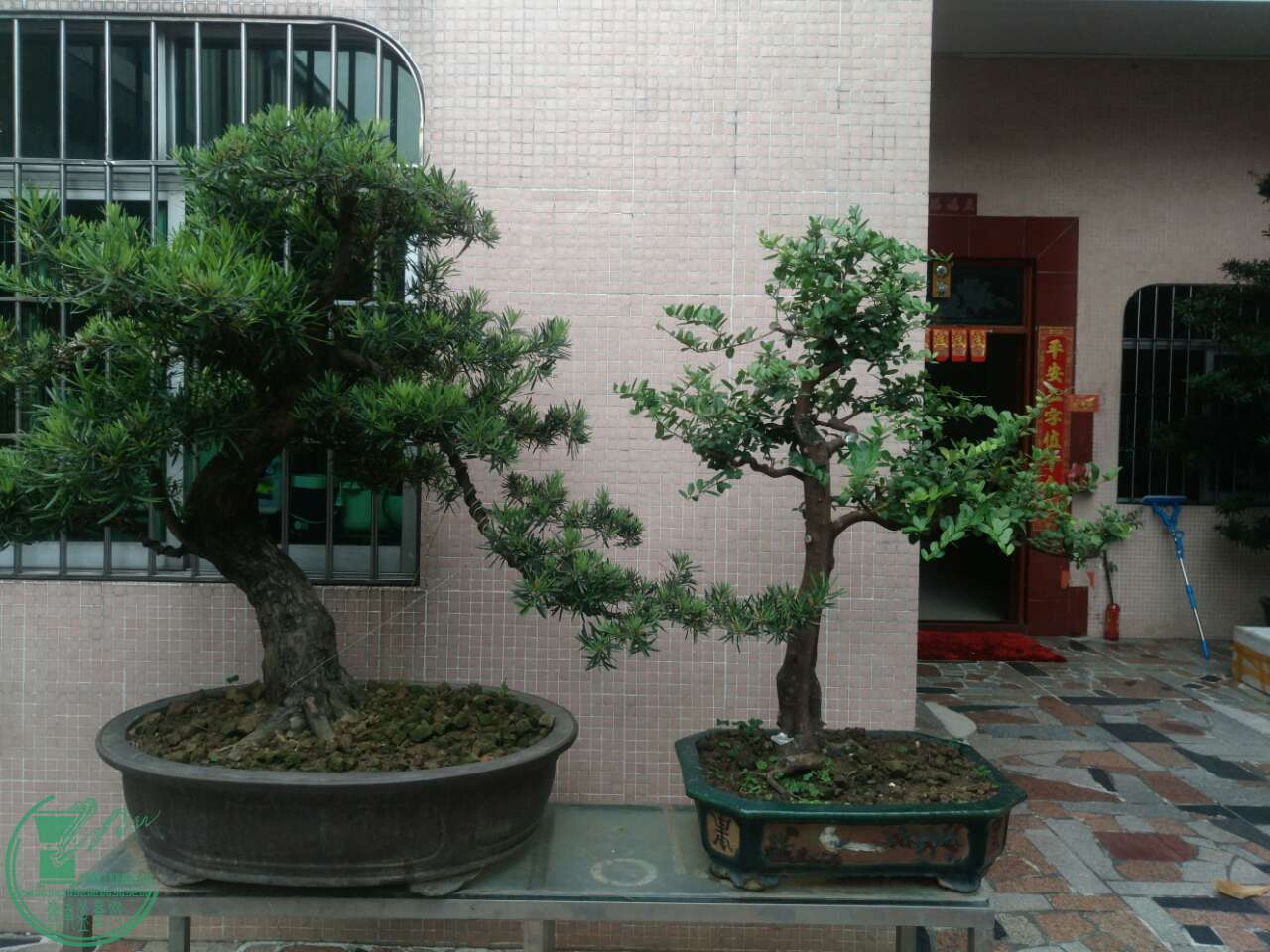 mmexport1493388323418.jpg