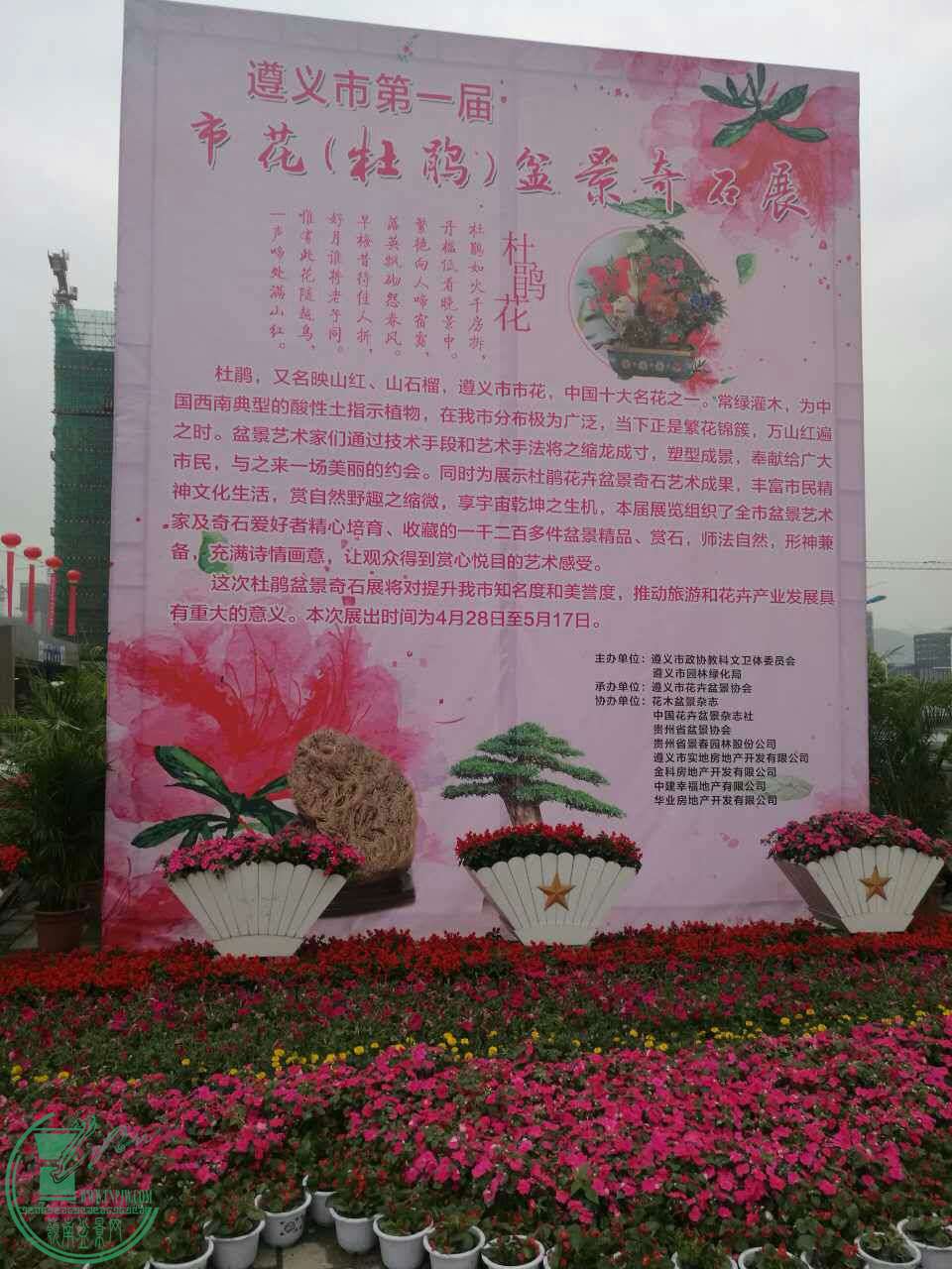 mmexport1493433111540.jpg
