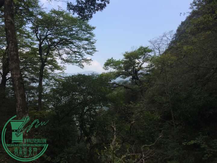 18f2a71b3eaa0233.jpg